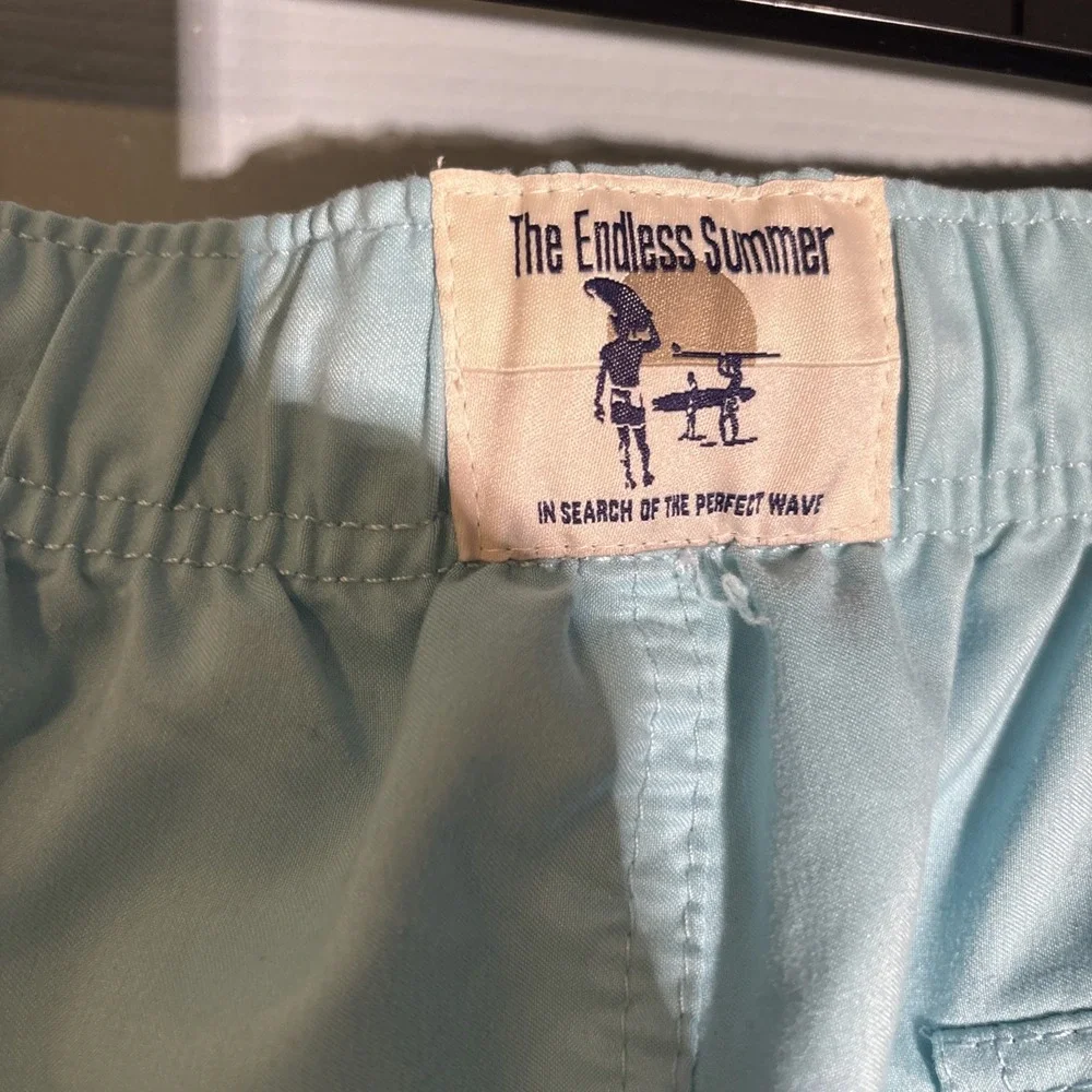 The Endless Summer Mens‎ SmallShorts Swim Light Blue Lined